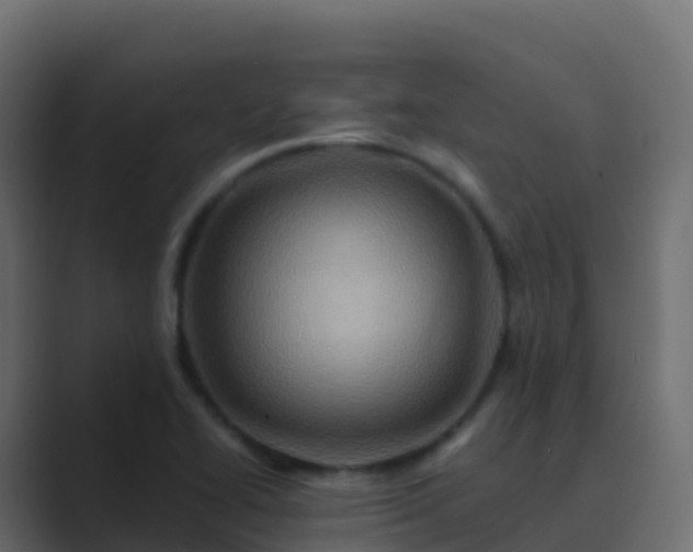X0000089731414200706281541