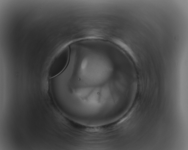 X0000089731415200706281541