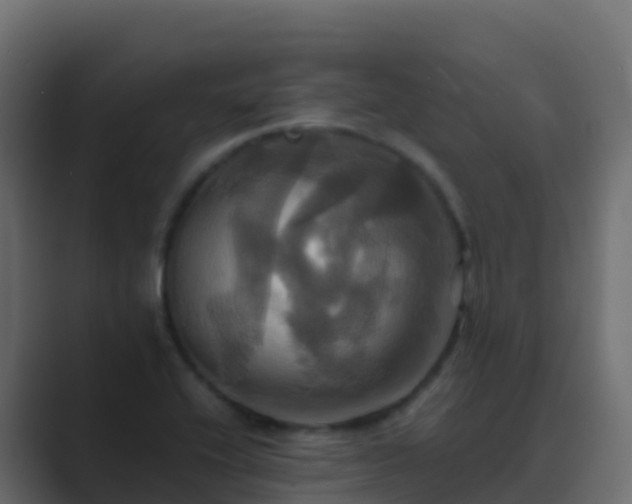 X0000089731416200706281541