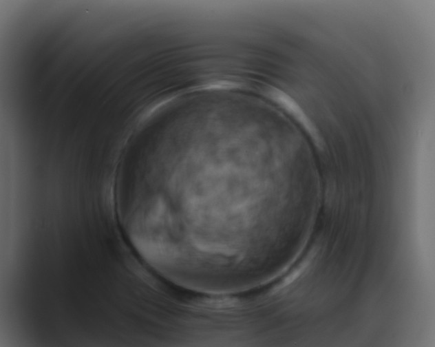 X0000089731417200706281541