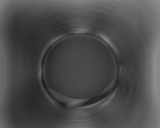 X0000089731418200706281541