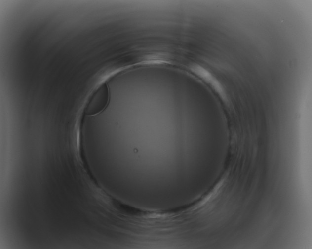 X0000089731419200706281541