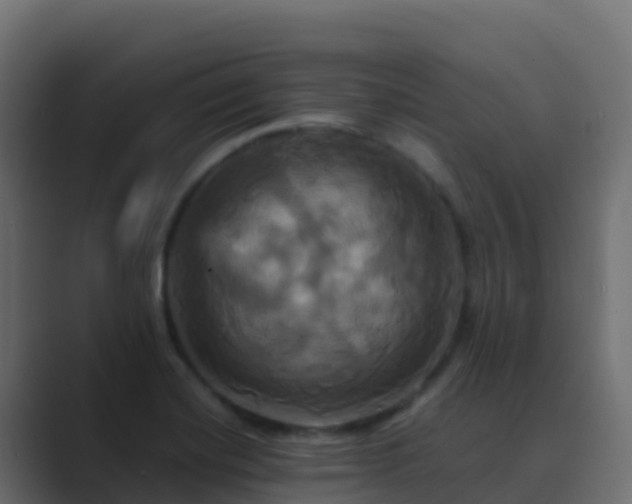 X0000089731420200706281541
