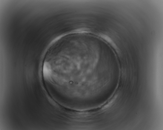 X0000089731421200706281541