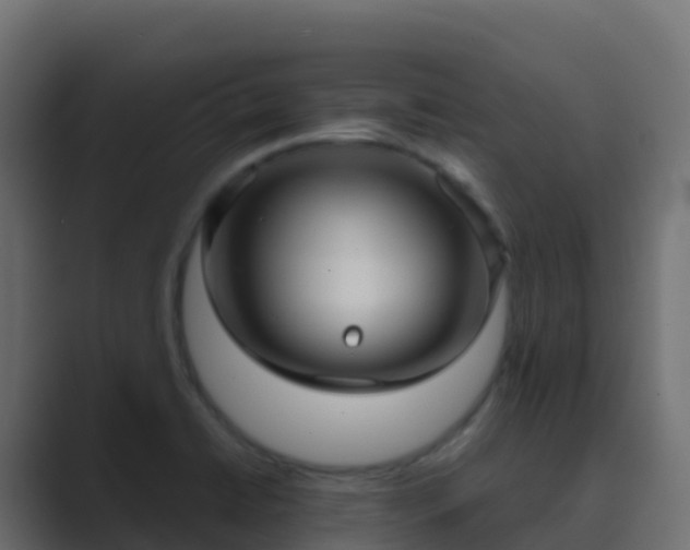 X0000089731422200706281541
