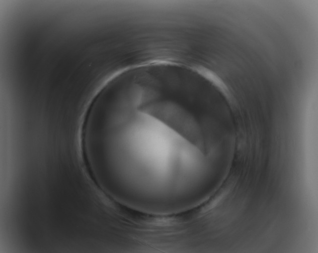 X0000089731423200706281541