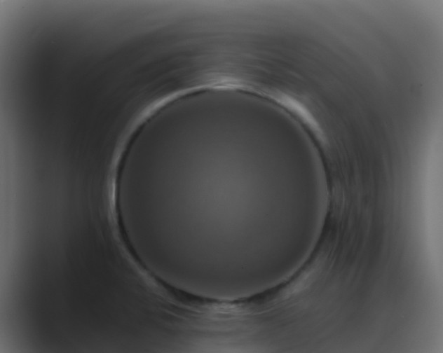 X0000089731424200706281541