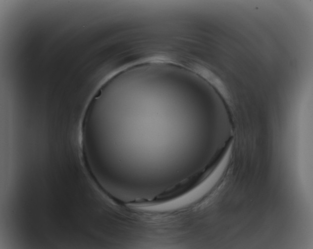 X0000089731428200706281541