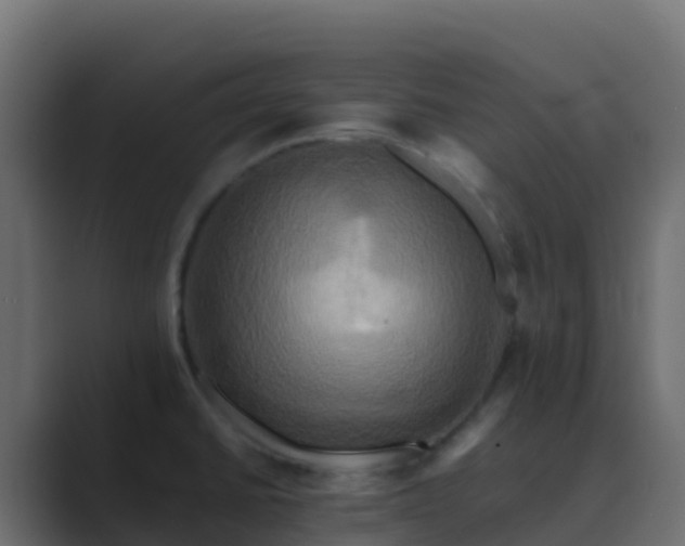 X0000089731430200706281541