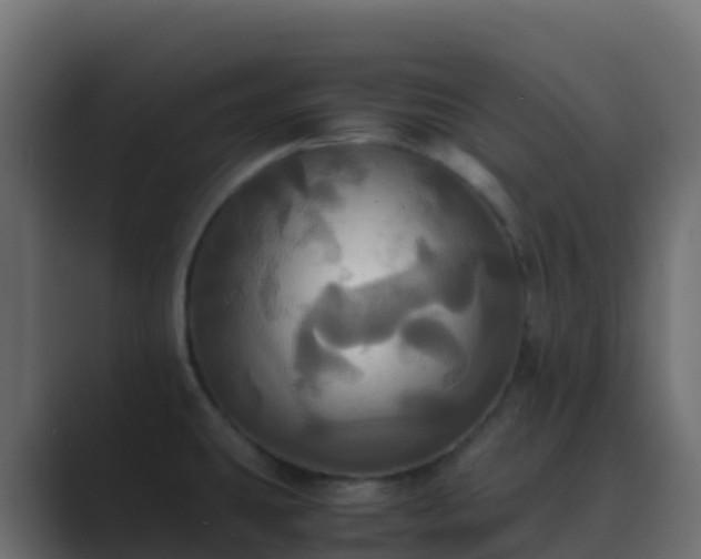 X0000089731431200706281541