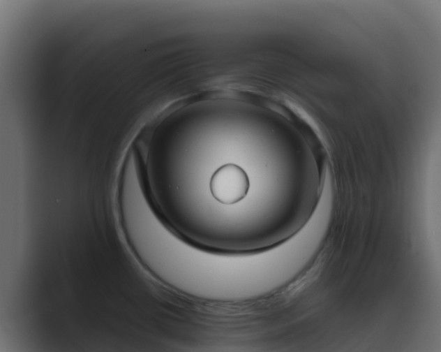 X0000089731434200706281541