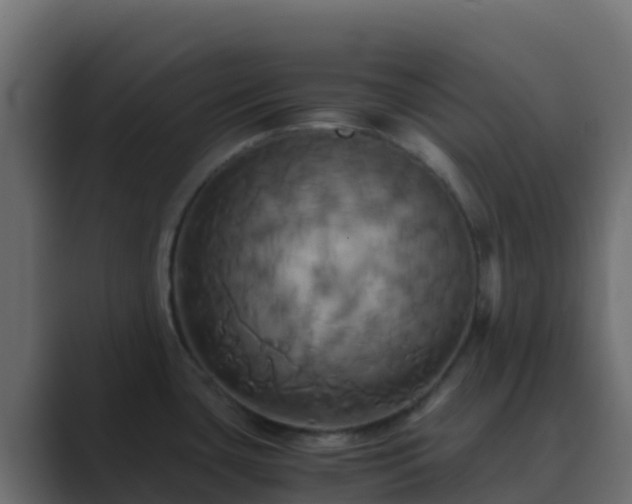 X0000089731435200706281541