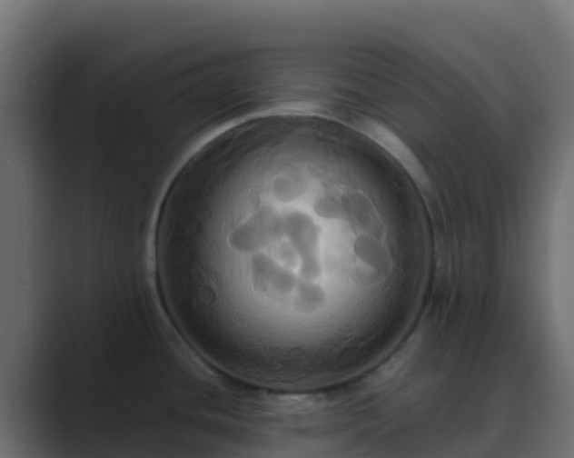 X0000089731436200706281541