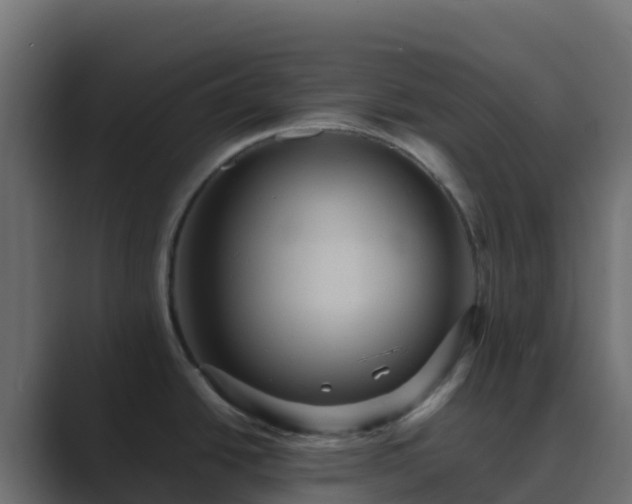 X0000089731438200706281541