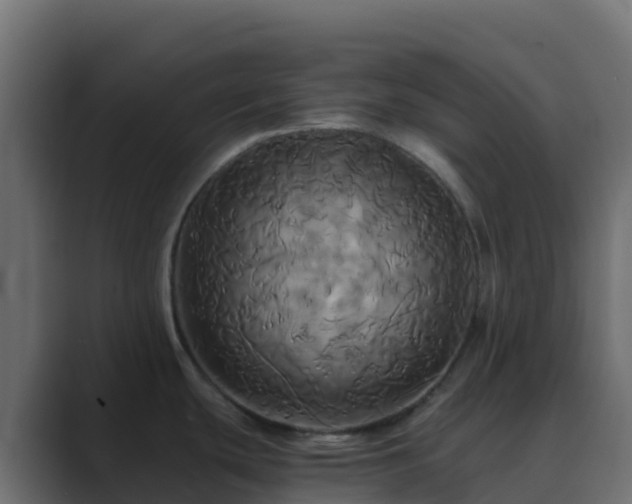 X0000089731439200706281541