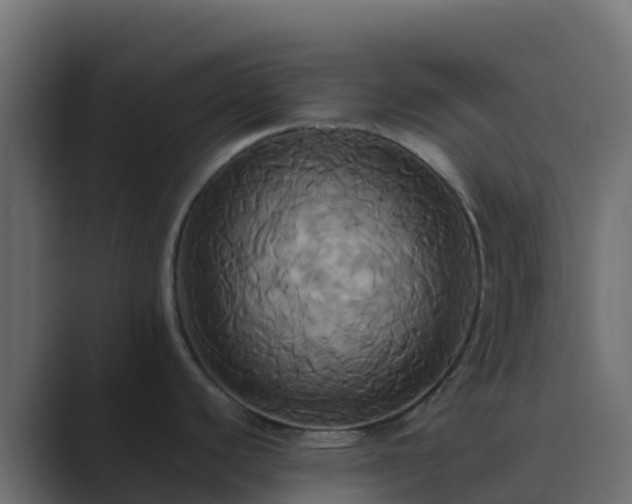 X0000089731440200706281541