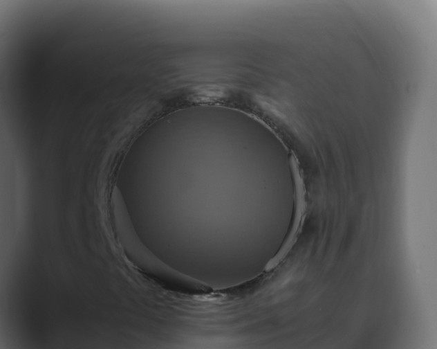 X0000089731441200706281540