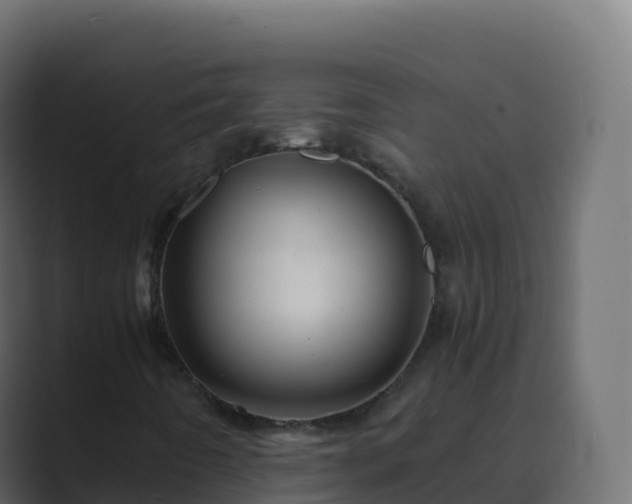 X0000089731442200706281540