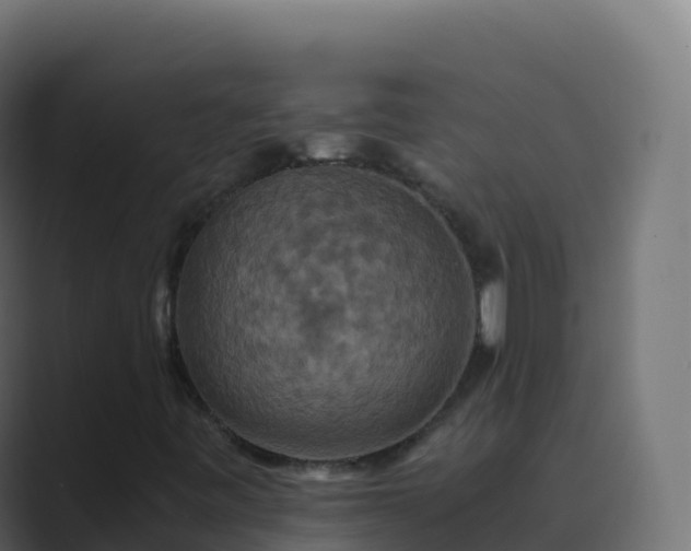 X0000089731443200706281540