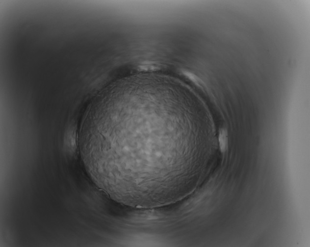 X0000089731444200706281540