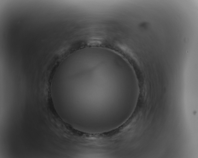 X0000089731445200706281540