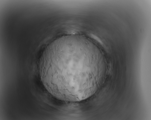 X0000089731446200706281540