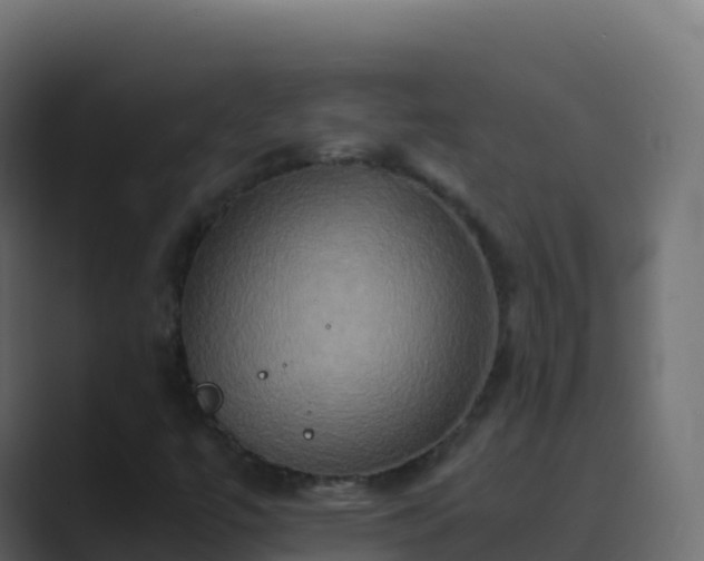X0000089731447200706281540