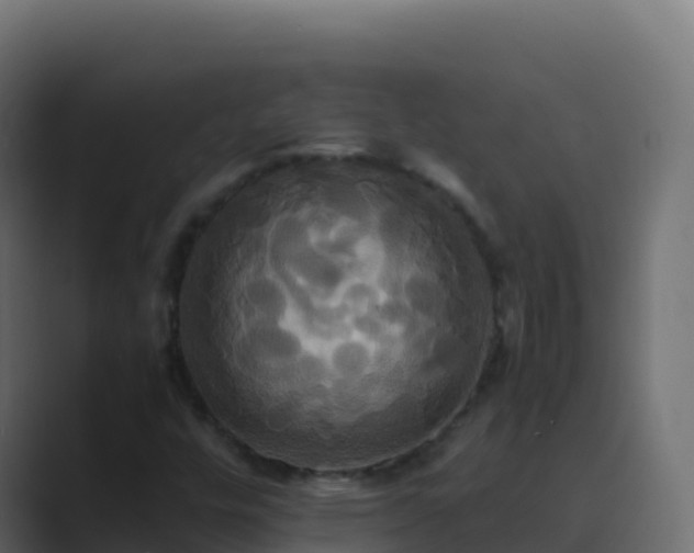 X0000089731448200706281540