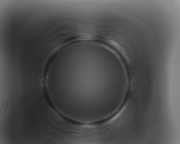 X0000089731449200706281540