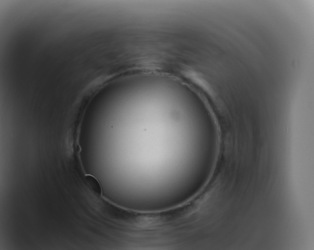 X0000089731451200706281540