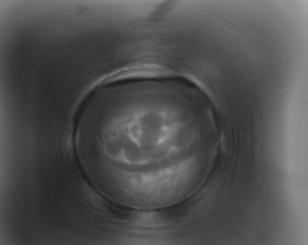 X0000089731452200706281540