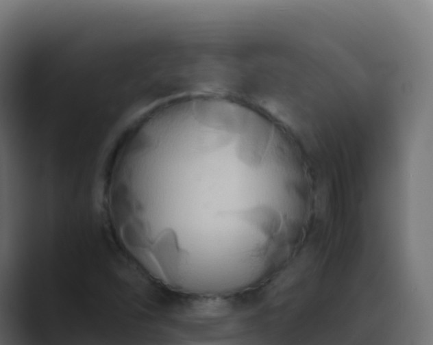 X0000089731454200706281540