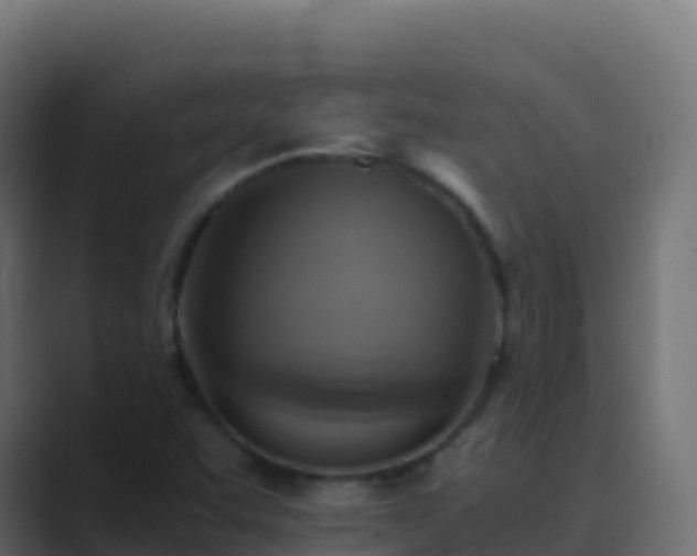 X0000089731455200706281540