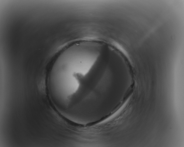 X0000089731456200706281540