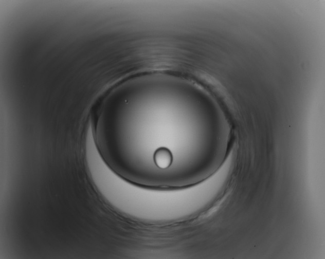 X0000089731457200706281540