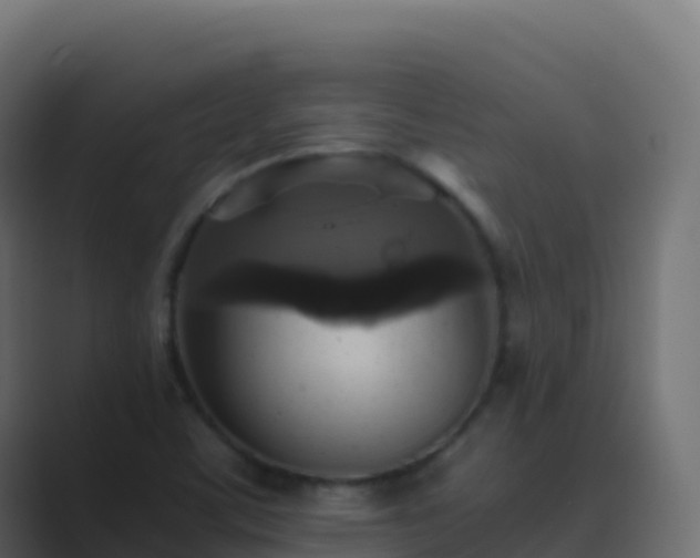 X0000089731459200706281540