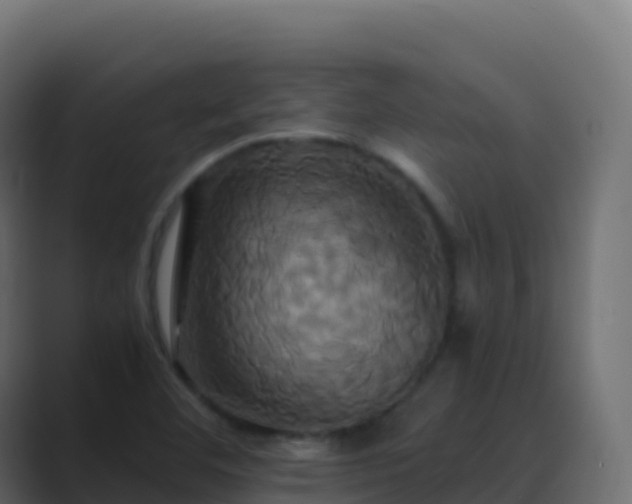 X0000089731460200706281540