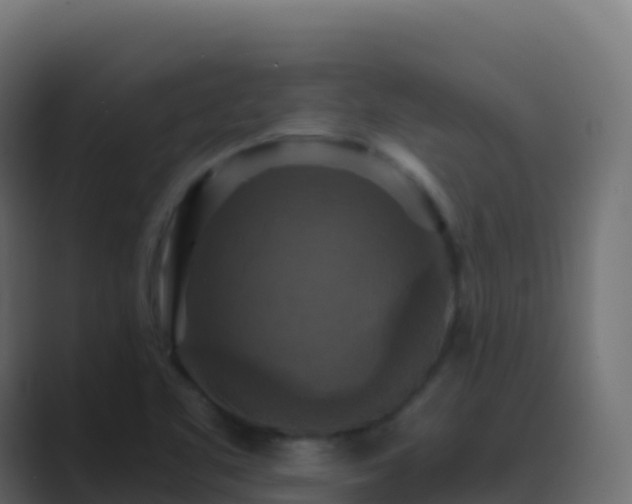 X0000089731461200706281540