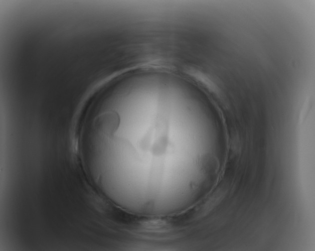 X0000089731462200706281540