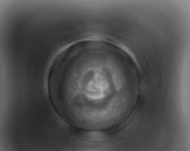 X0000089731464200706281540