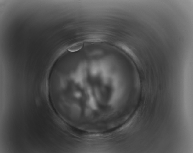 X0000089731467200706281540