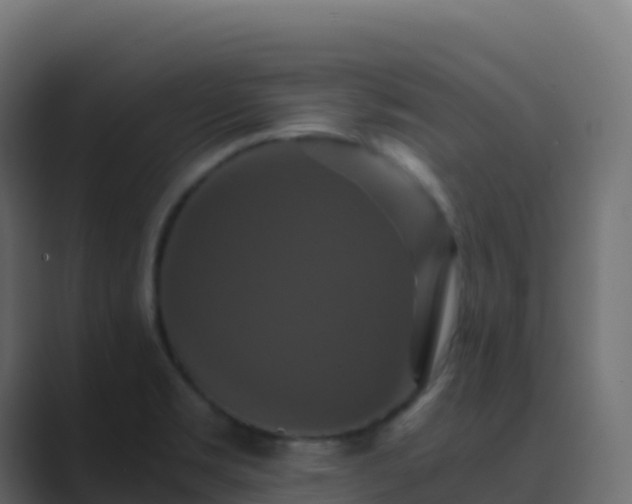 X0000089731469200706281540