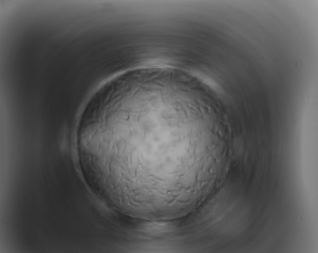 X0000089731470200706281540