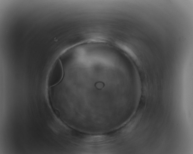 X0000089731471200706281540