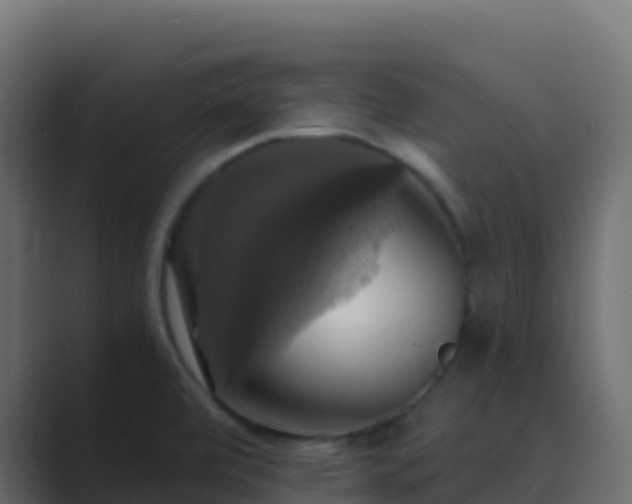 X0000089731472200706281540