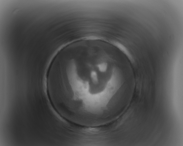 X0000089731476200706281540