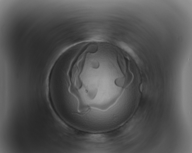 X0000089731479200706281540