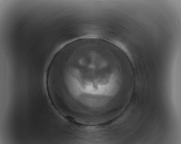 X0000089731480200706281540