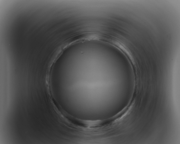 X0000089731481200706281540