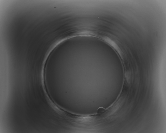 X0000089731482200706281540